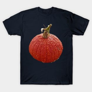 Orange Bumpy Pumpkin for Halloween Decoration T-Shirt